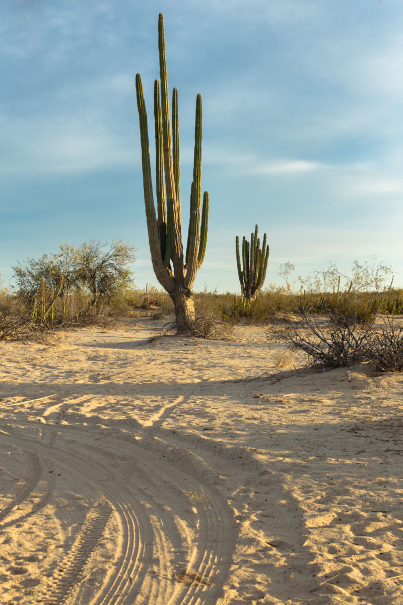 islas vírgenes baja california