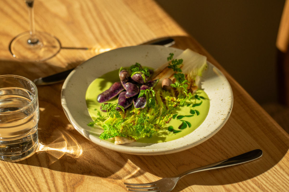 nuevo restaurante colonia roma