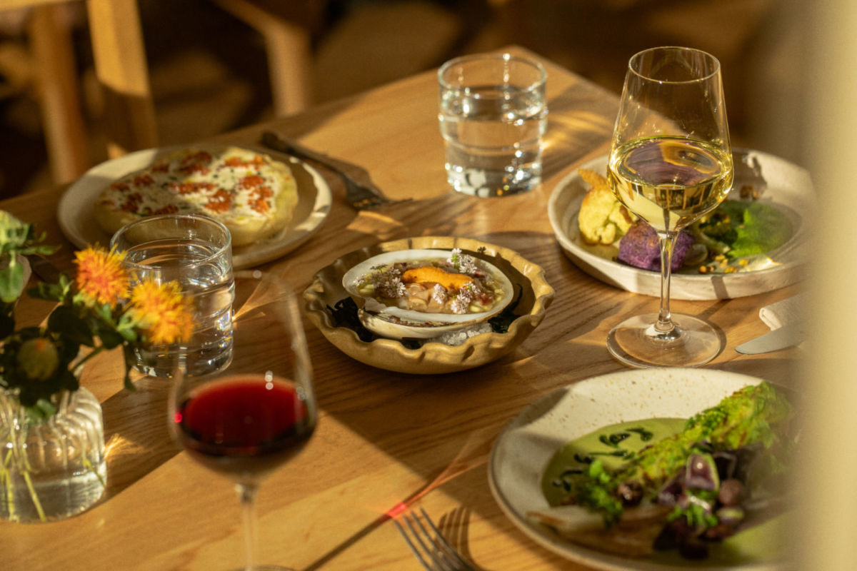 nuevo restaurante colonia roma