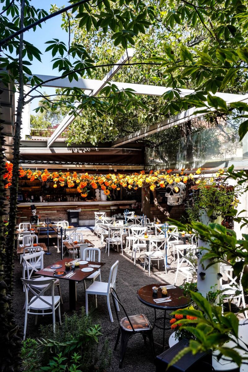 Patio para comer rico en Santa María la Ribera, CDMX