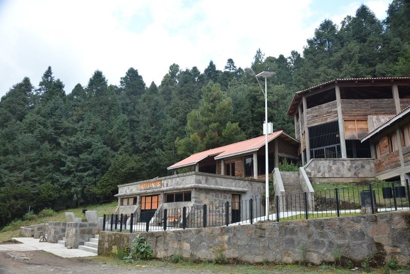 Mariposa Monarca Santuario La Mesa 