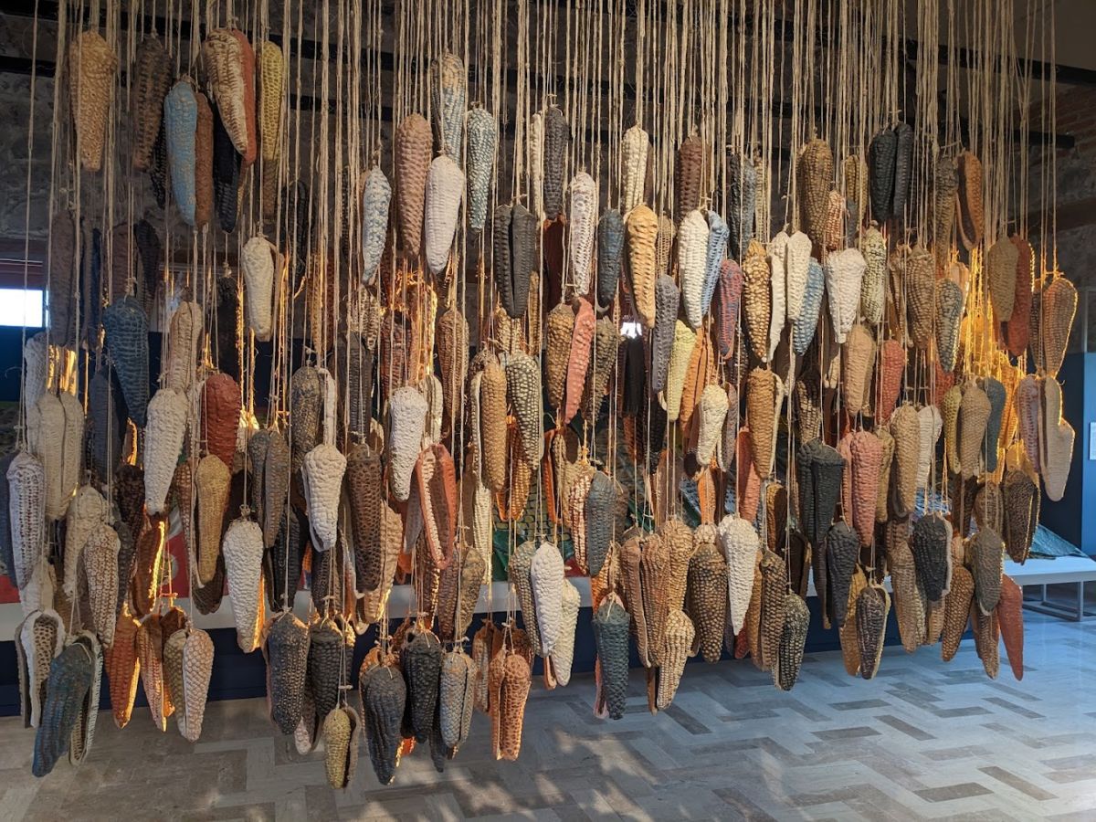 Este museo en Chapultepec rinde homenaje al maíz y a la cultura alimentaria en México