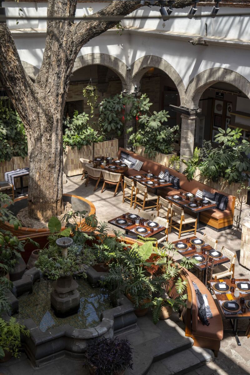 Los 12 patios del momento para ir a comer y tomar un ‘drink’ en la CDMX
