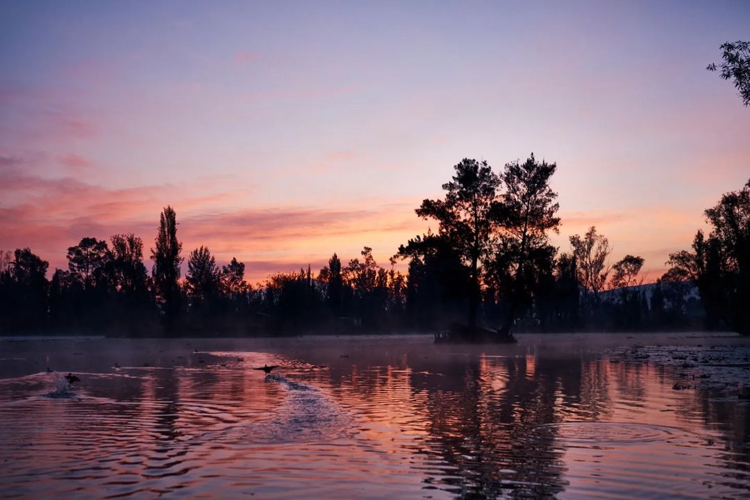 Amanecer en Xochimilco