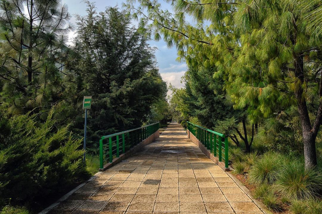 Parque Bicentenario