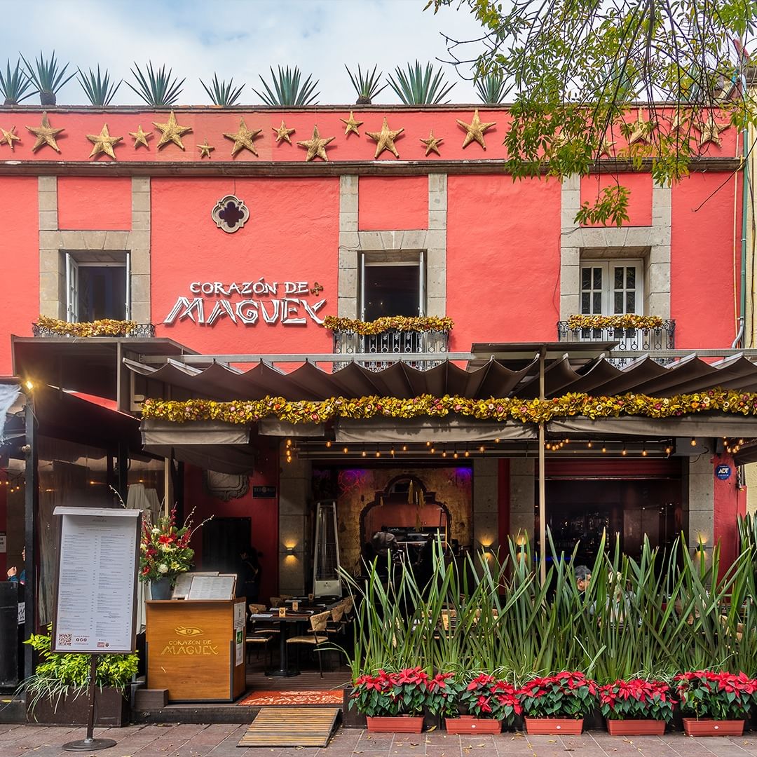 dónde comer en Coyoacán 