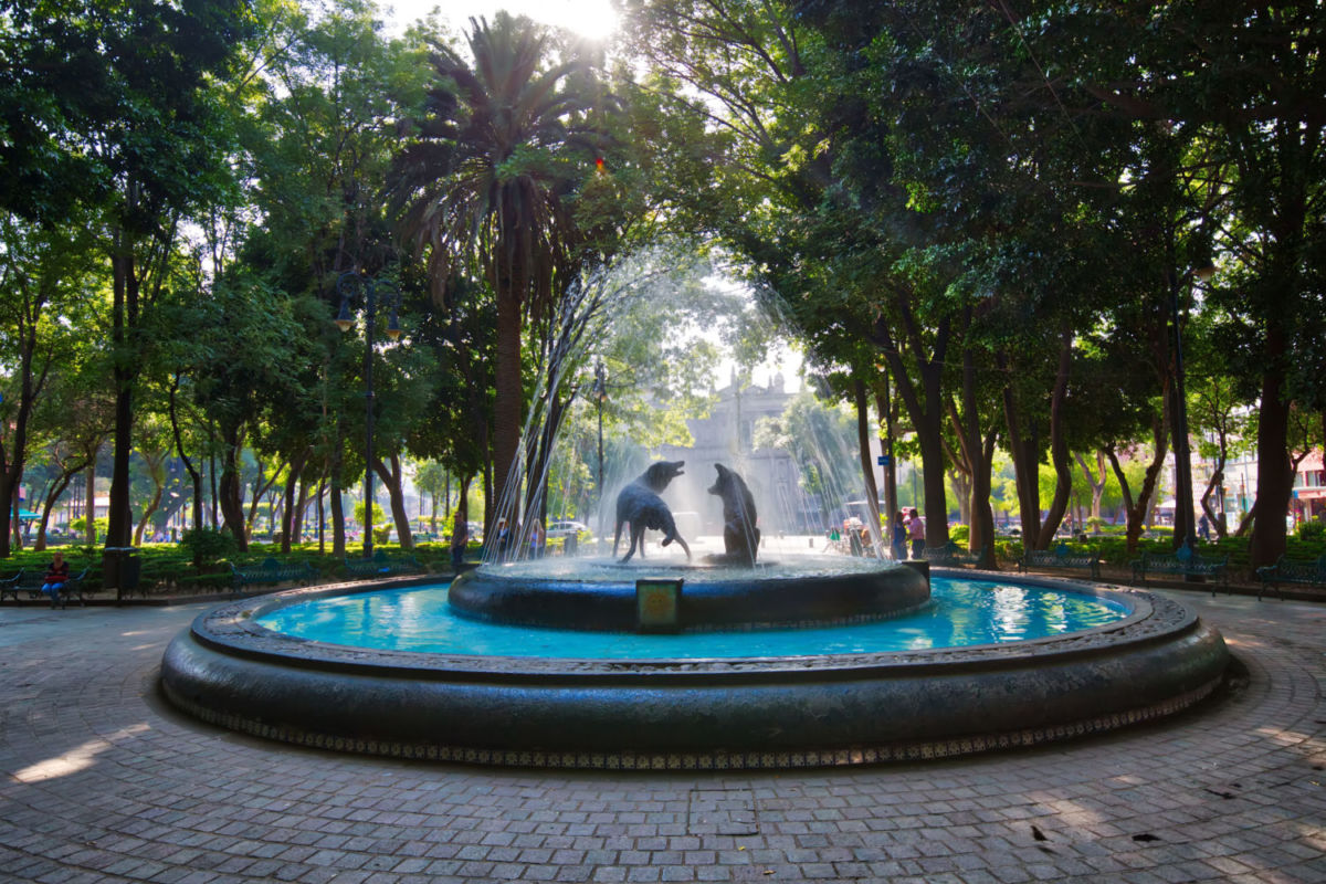 qué hacer en Coyoacán 
