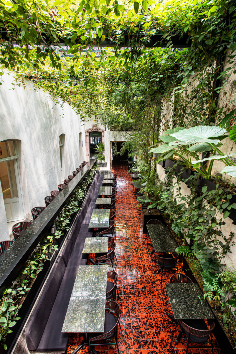 XUVA: el restaurante oaxaqueño con el patio más agradable para ‘sobremesear’ en Santa María la Ribera