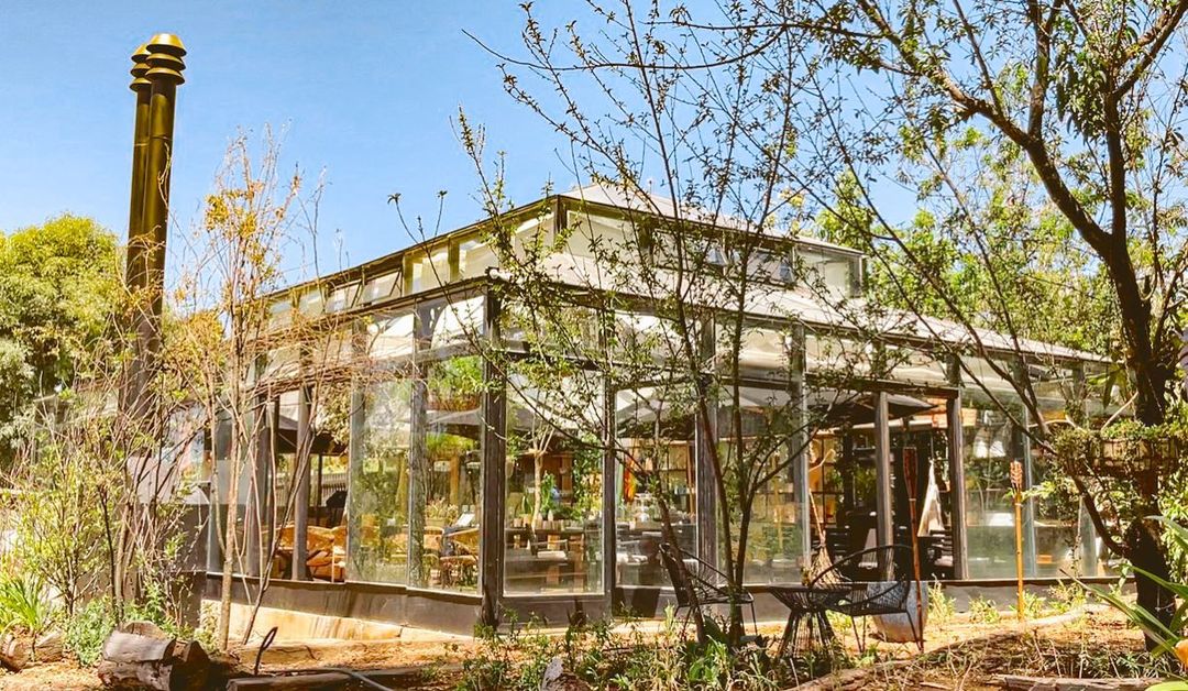 5 restaurantes escondidos en el bosque de Valle de Bravo (para comer rodeado de naturaleza)