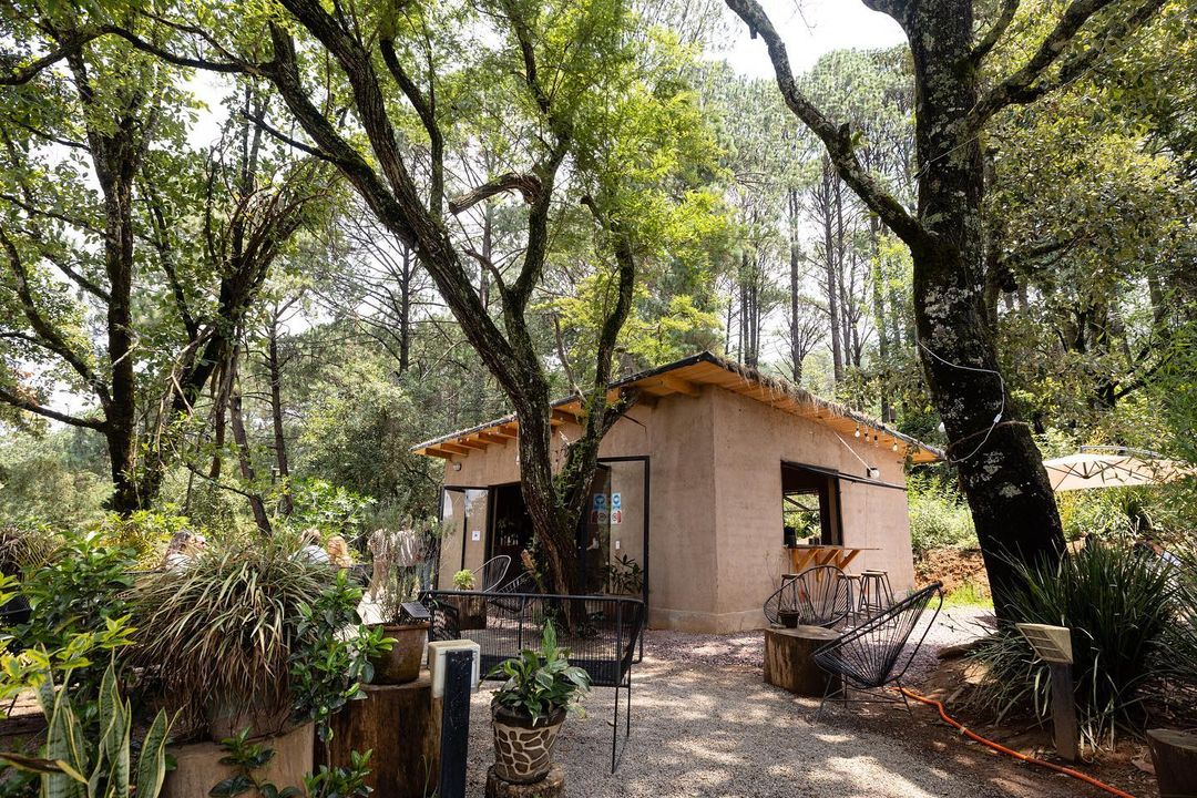 restaurantes en el bosque