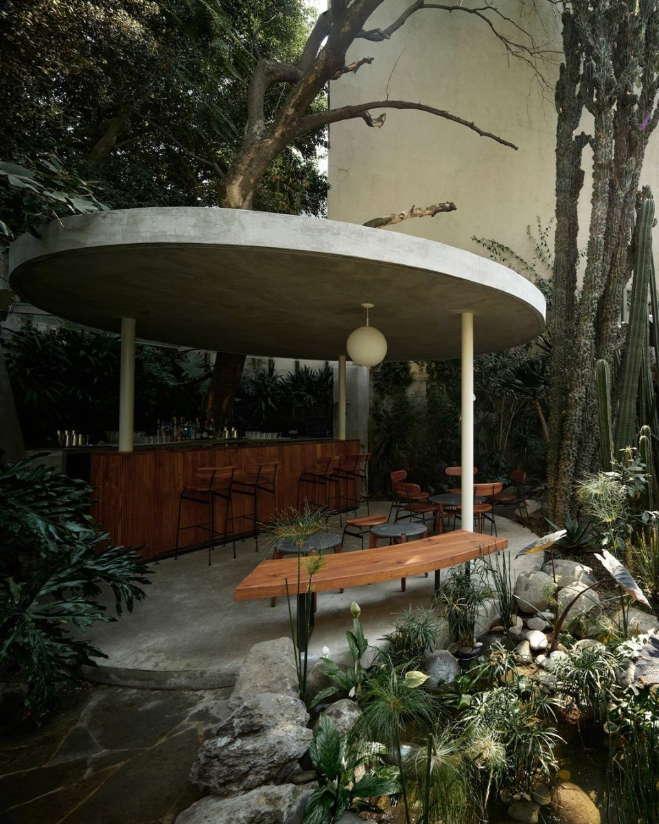 spots en la Condesa