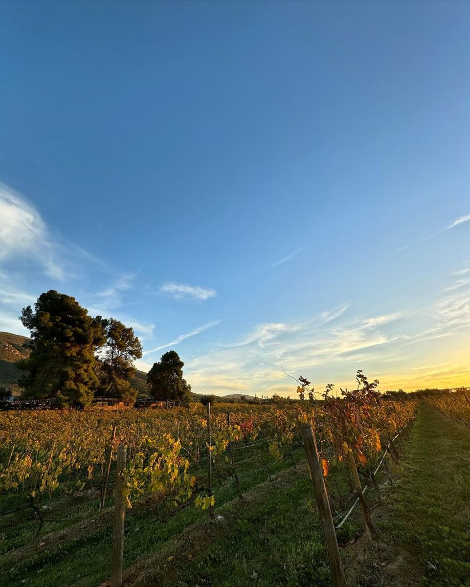 mejores restaurantes de baja california