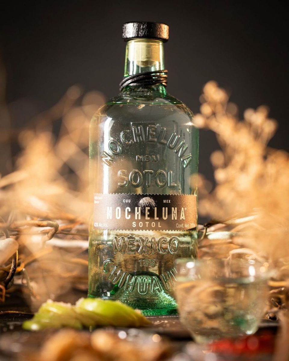sotol nocheluna