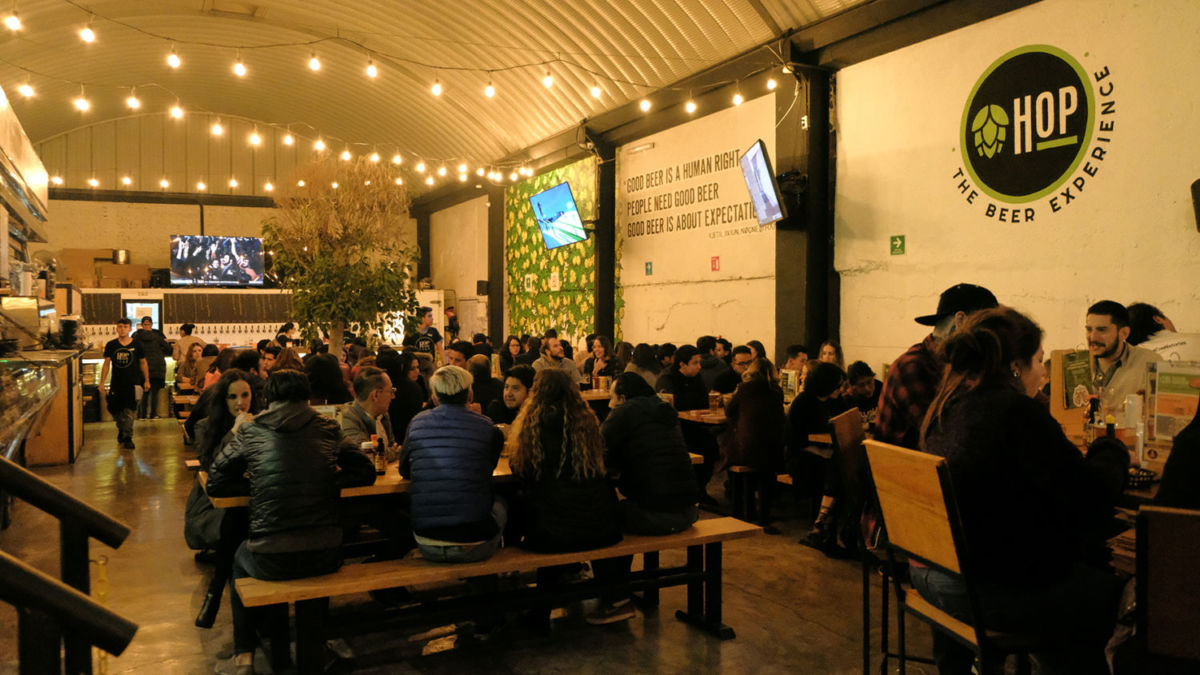 cervecería artesanal con tele
