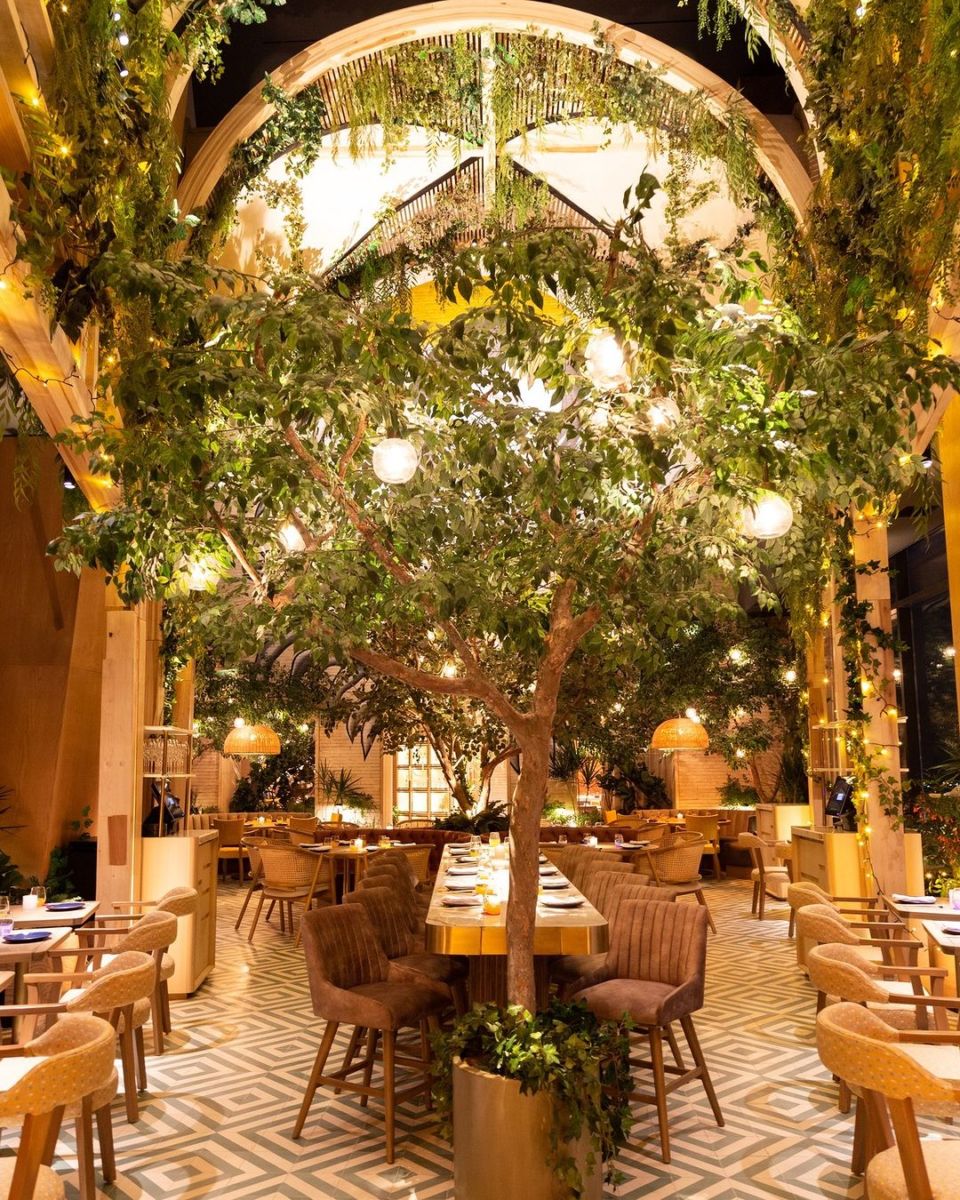 terrazas nocturnas cdmx