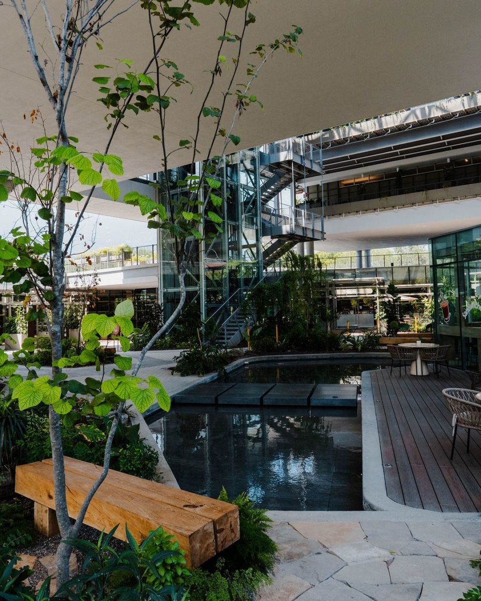 centro de bienestar en Monterrey