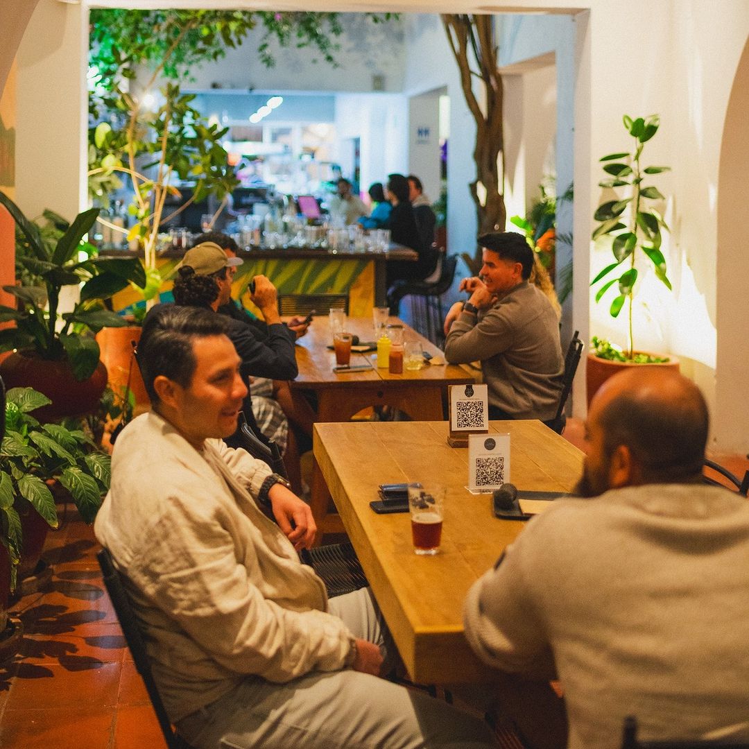 lugares para ir por cerveza en guadalajara