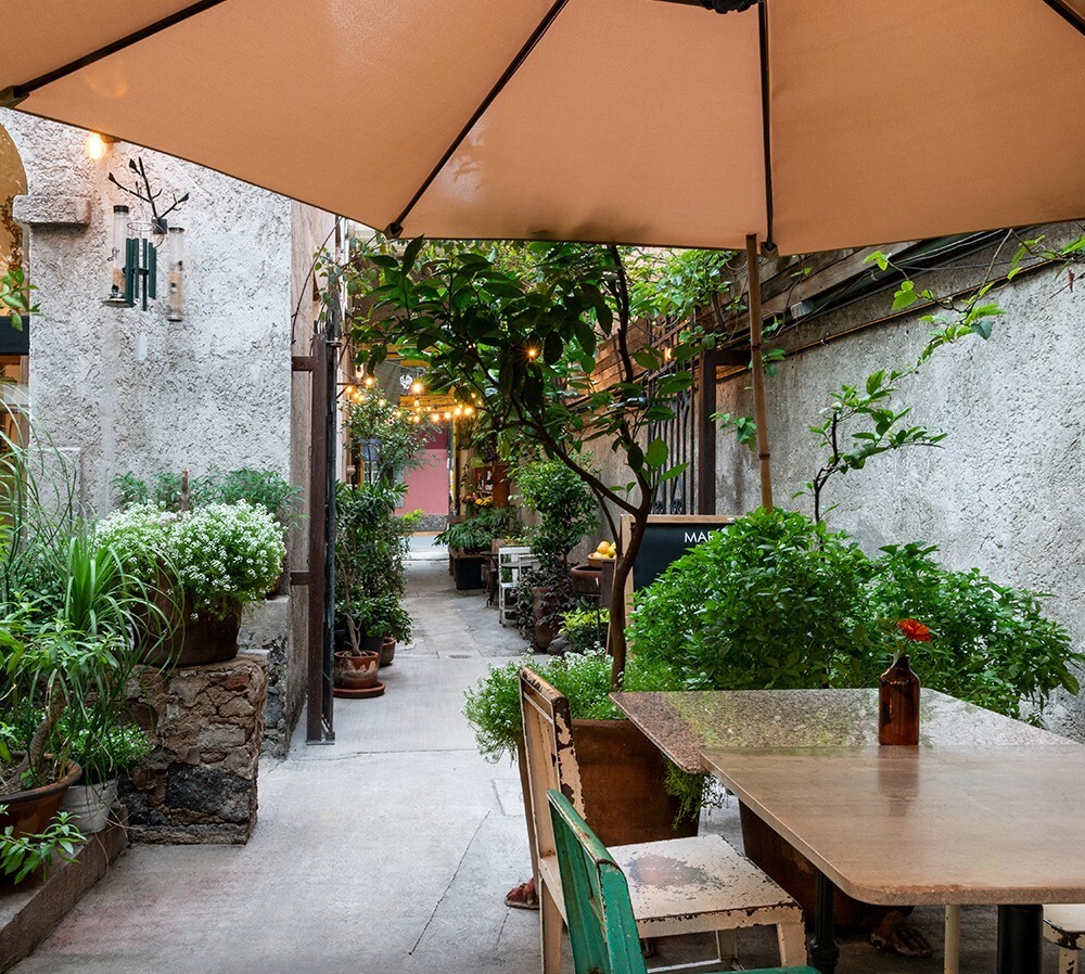 Las 9 colonias de la CDMX en donde comerás mejor que nunca en tu vida