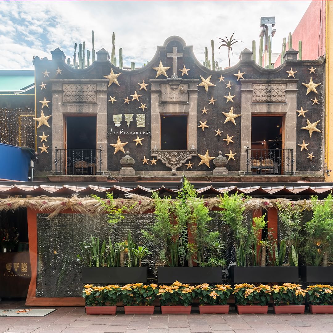 dónde comer en coyoacán