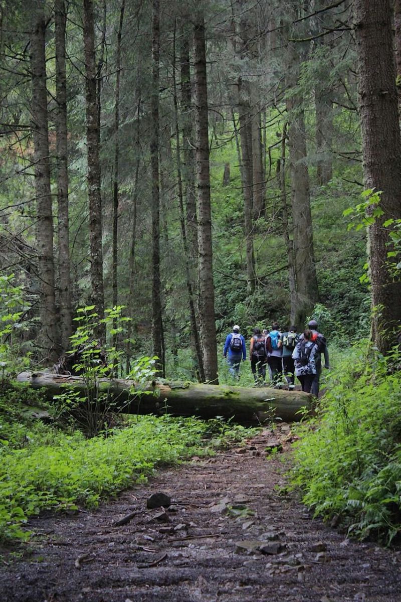 Corral de Piedra: cabañas, camping y un precioso lago en este parque ecoturístico oculto en Valle de Bravo