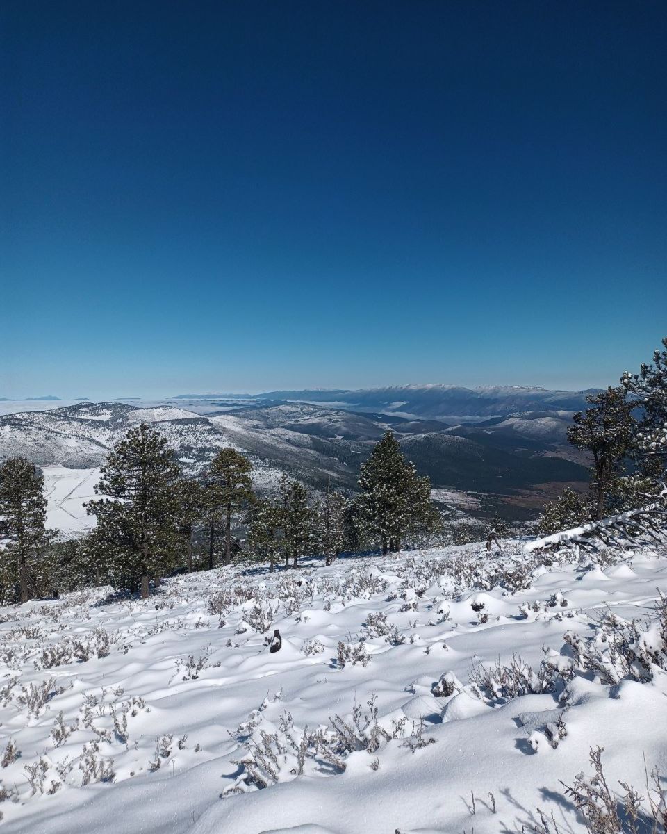 Lugares con nieve en Nuevo León