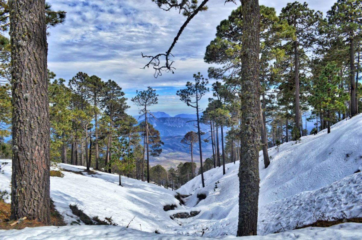 No son los Alpes, es el Cerro del Potosí, y tiene algunos de los paisajes nevados más lindos de México