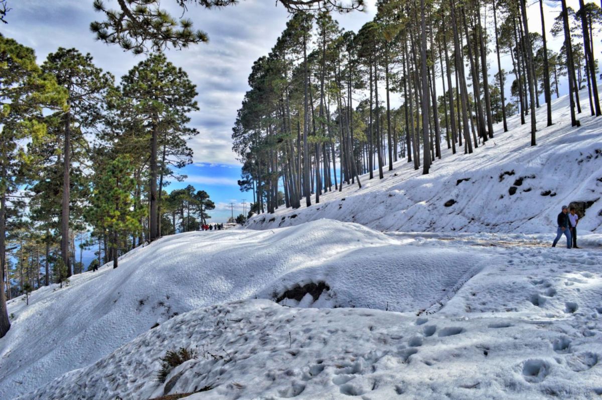 Paisajes nevados en México