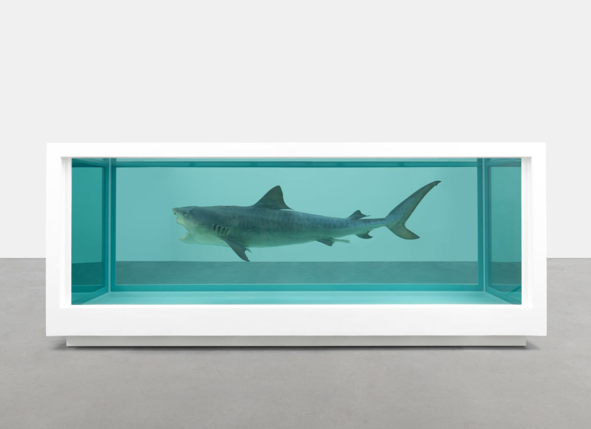 damien hirst en el Jumex
