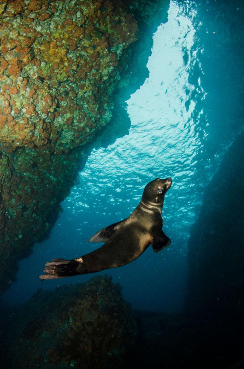 glamping baja california