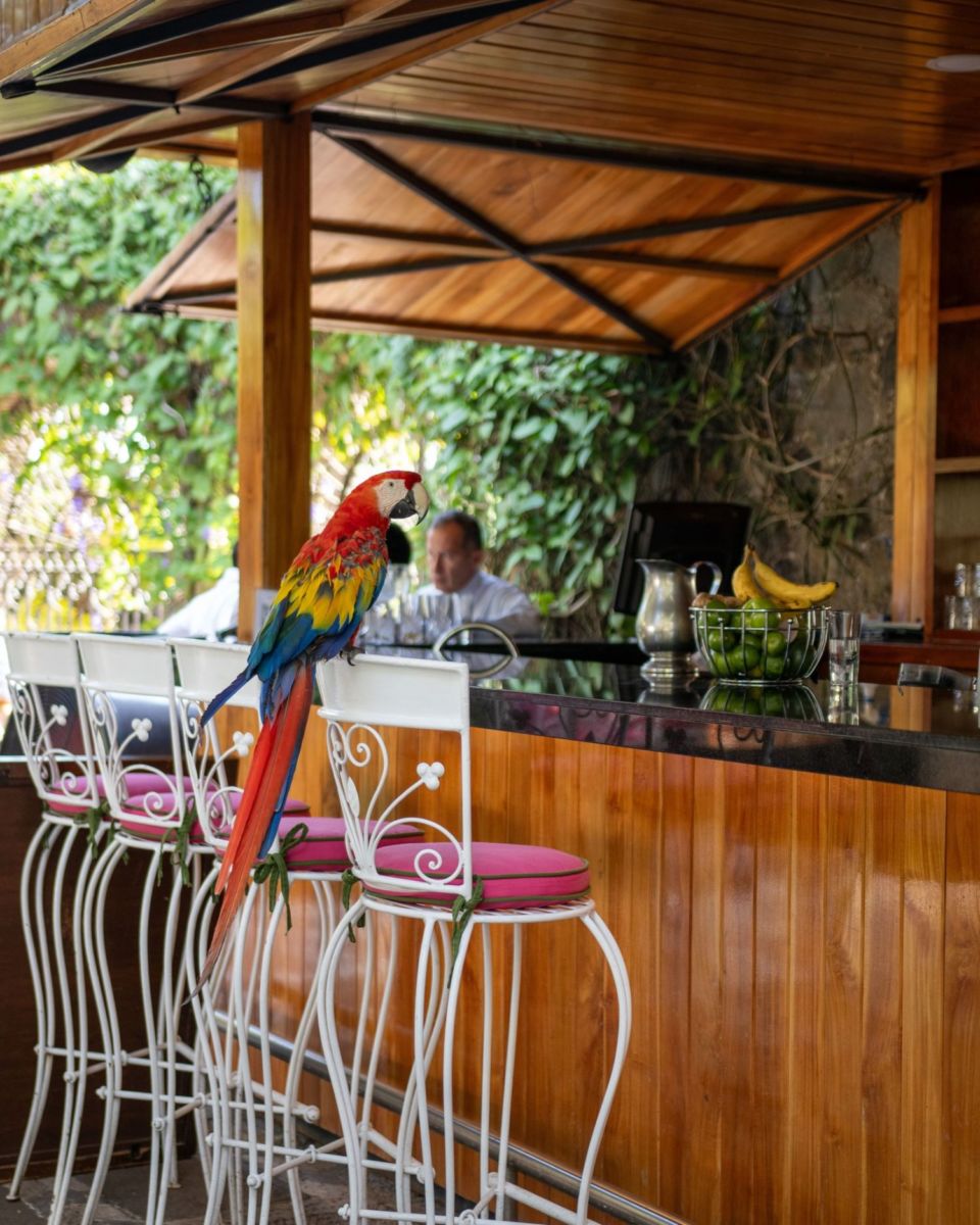 restaurante cerca de la cdmx