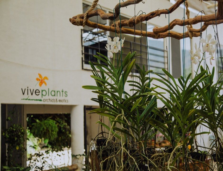 orquiderario más grande méxico