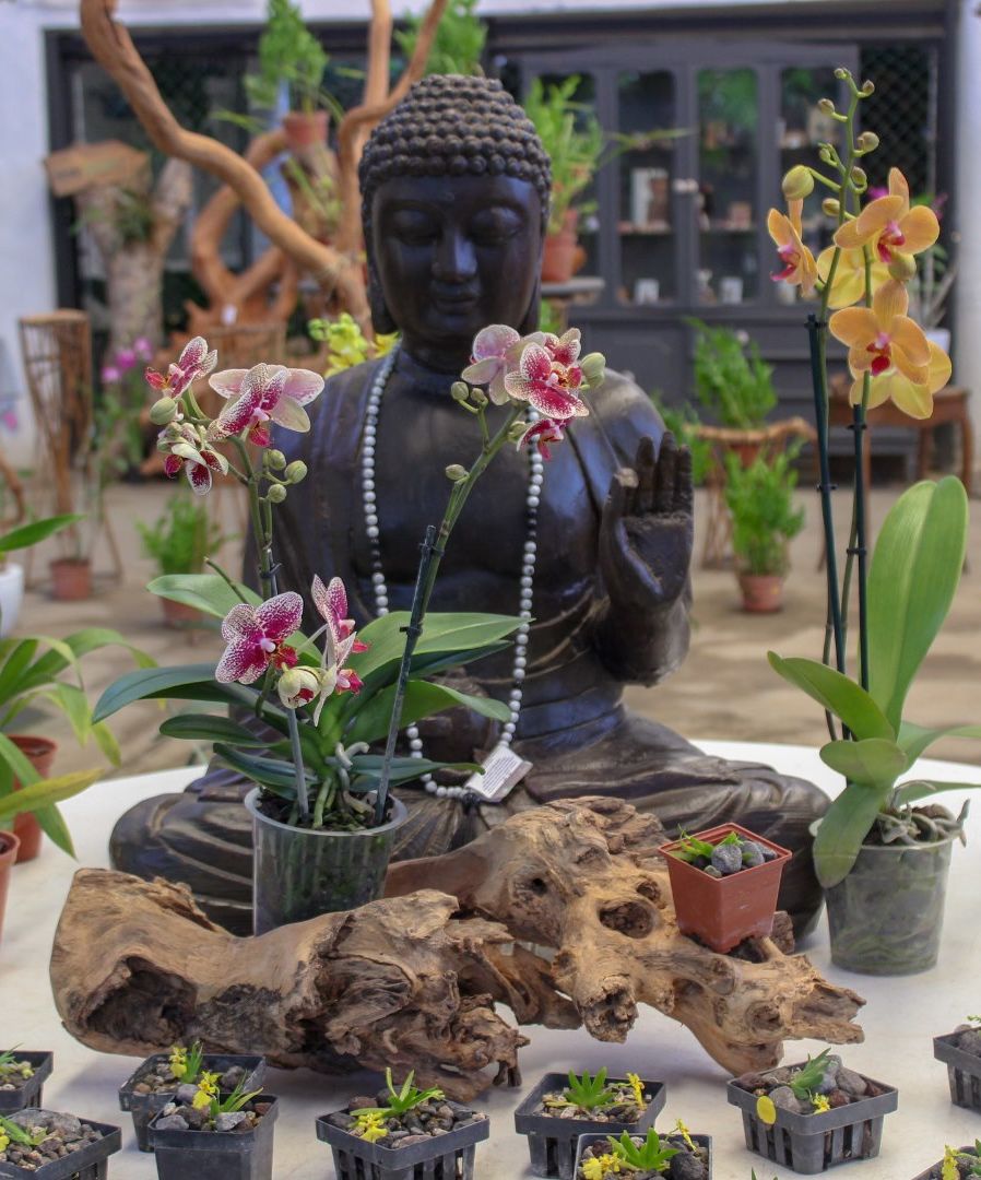 orquiderario más grande méxico