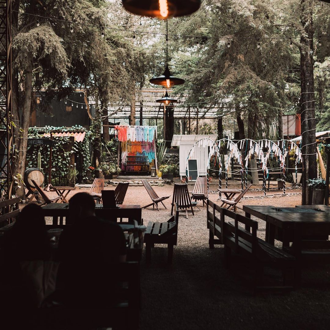 El restaurante boho en el bosque de la CDMX es el plan perfecto para desconectar, comer rico y respirar aire puro