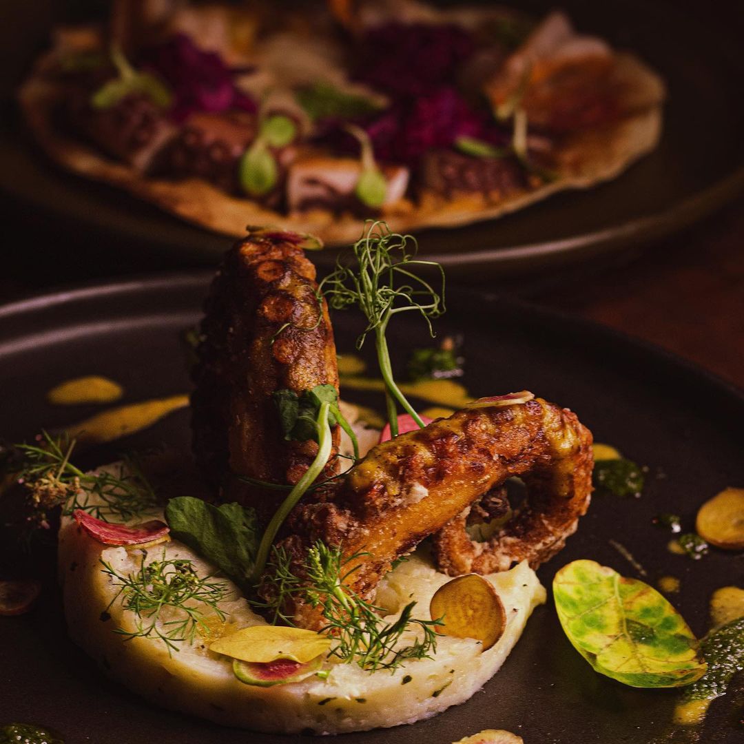 platillos de mar costa oaxaqueña