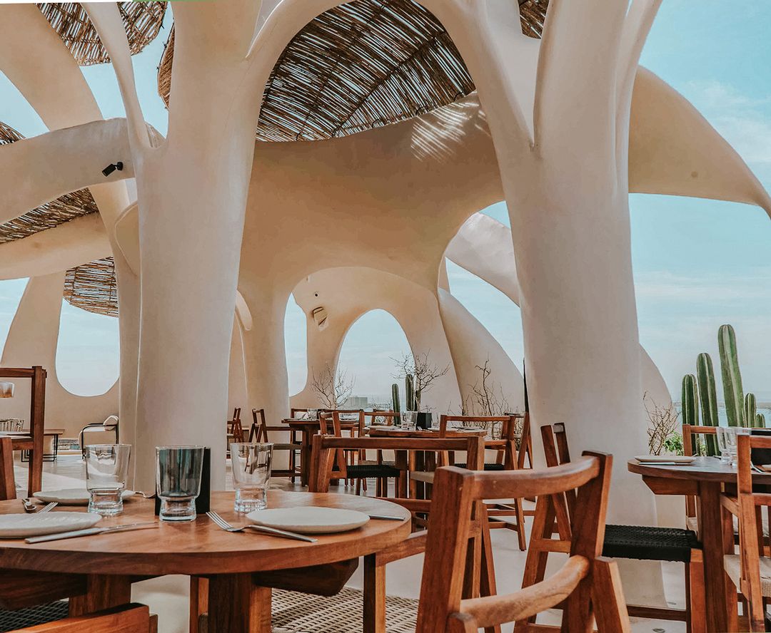 Este es el restaurante más bonito y poco convencional de La Paz para comer delicioso y ver la puesta de sol 