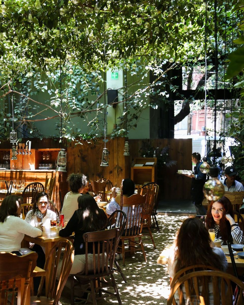 restaurantes al aire libre cdmx