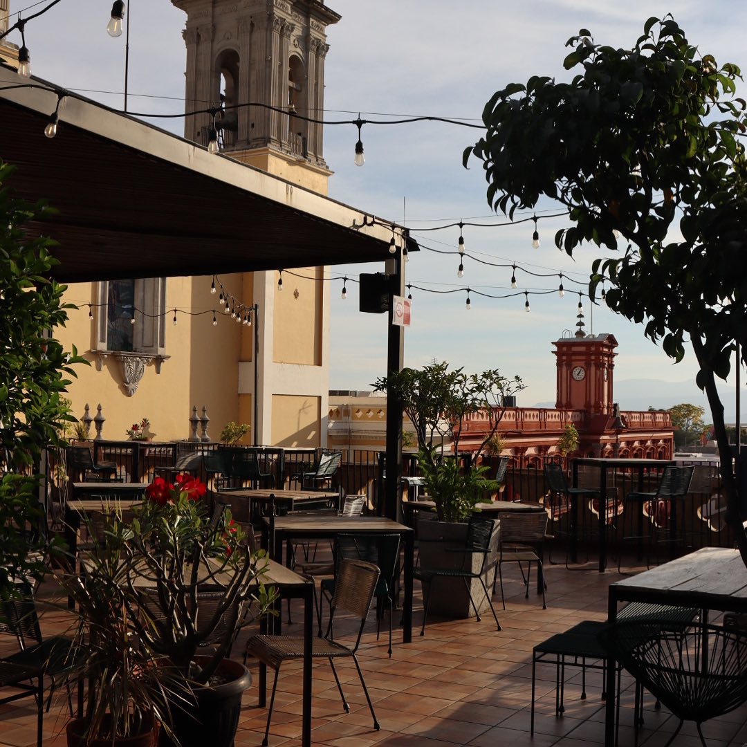 En esta terraza en el centro de Colima tienen las mejores vistas de la catedral (para disfrutar mientras tomas cerveza artesanal)