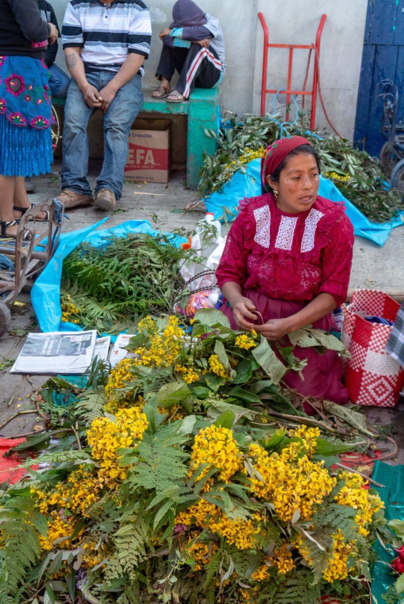 tianguis de Tlacolula