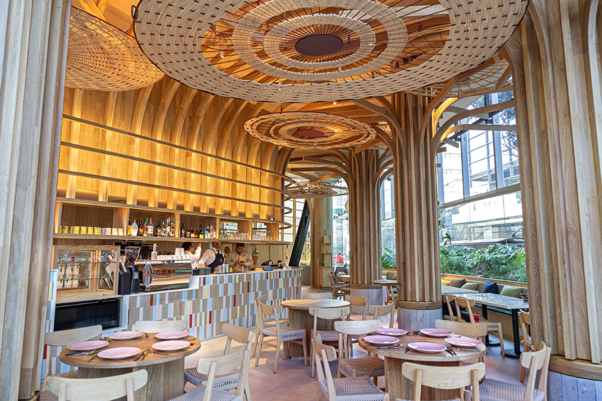 Chilaquiles con chicharrón regio y tamales de taro en el nuevo concepto de Cielito Querido al sur de la CDMX