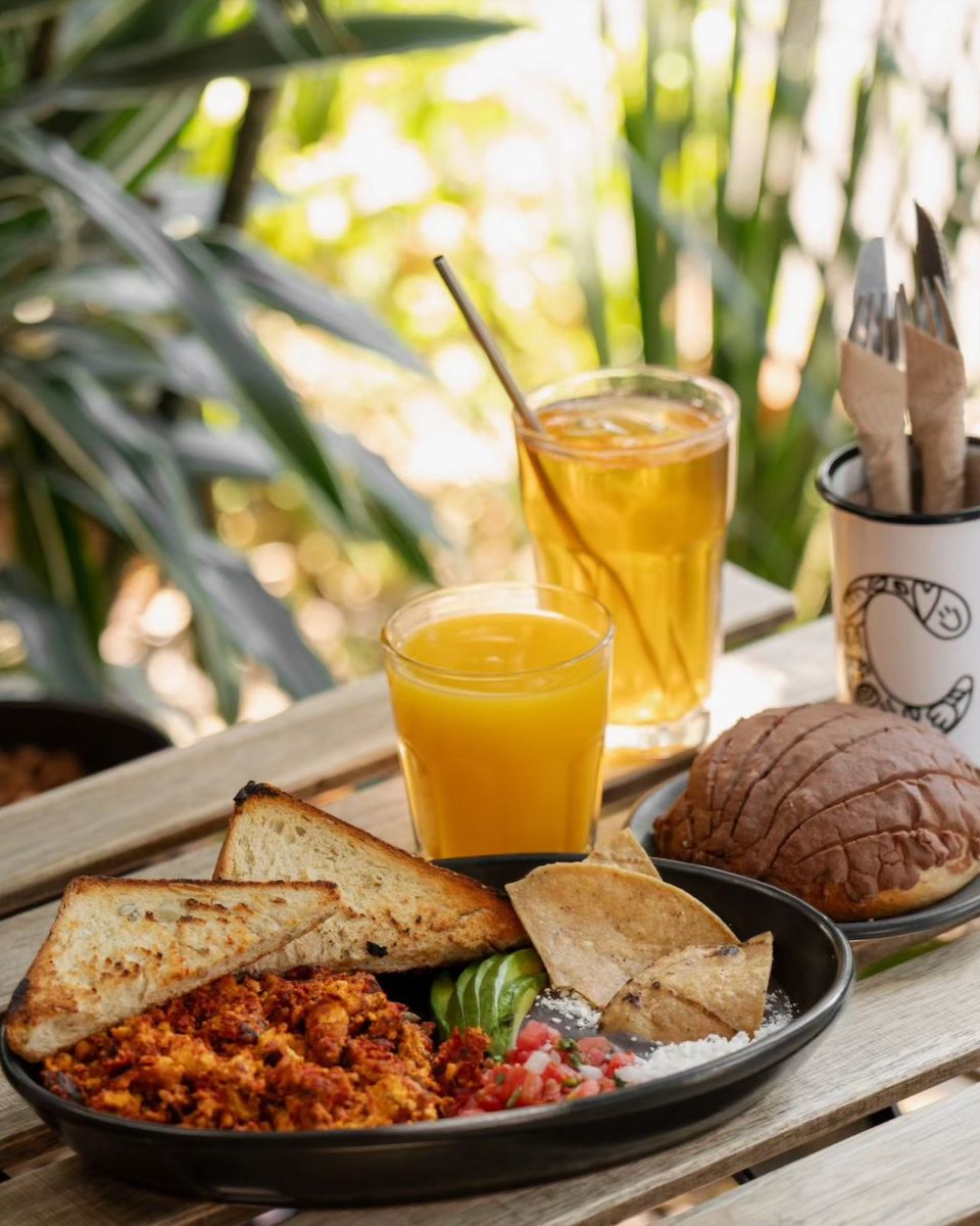 cafetería vegana Coyoacán