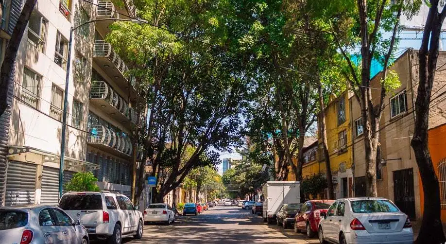 5 colonias tranquilas cerca de la Roma-Condesa para vivir con más calma y menos ruido, pero con todo cerca