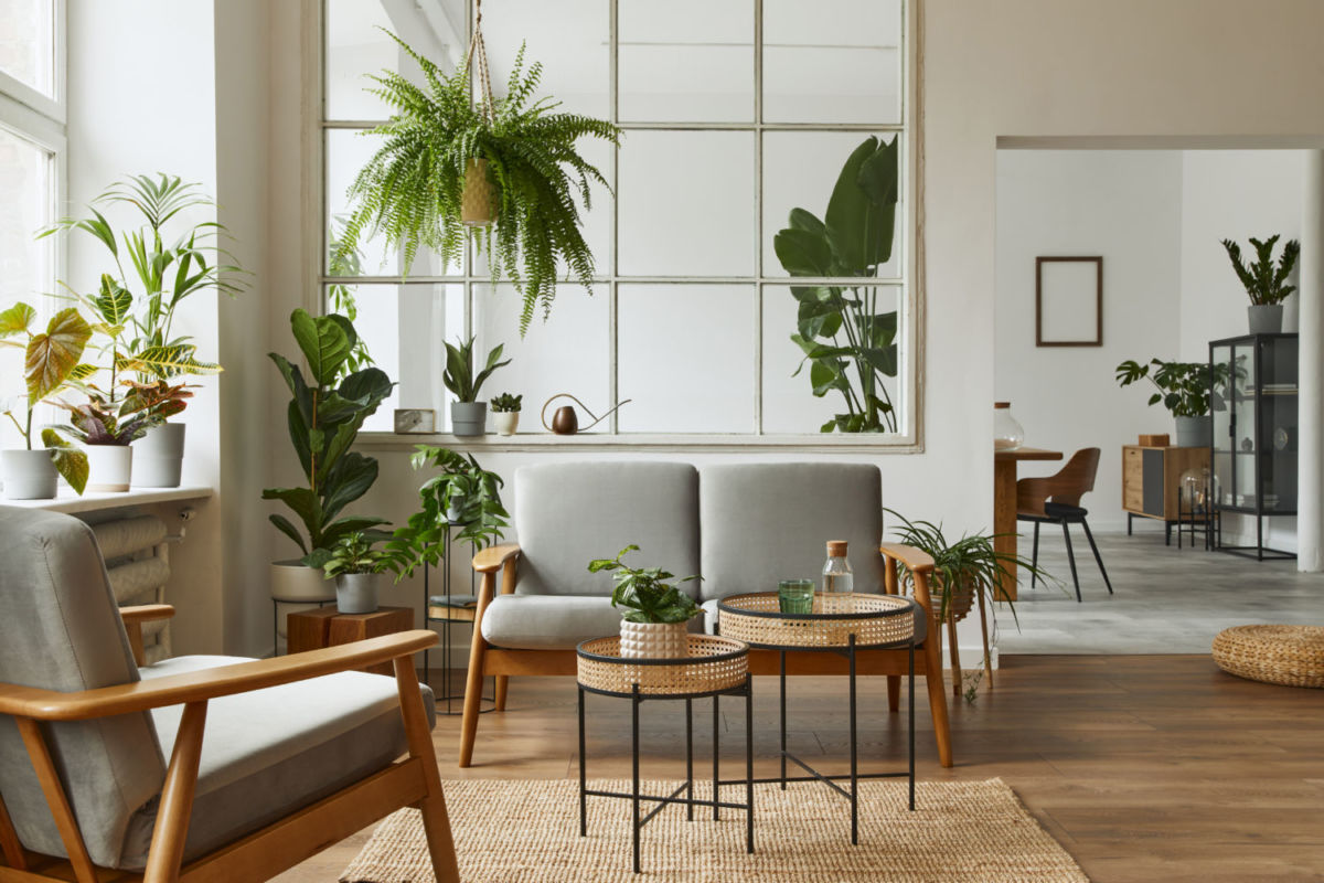 Departamentos con plantas