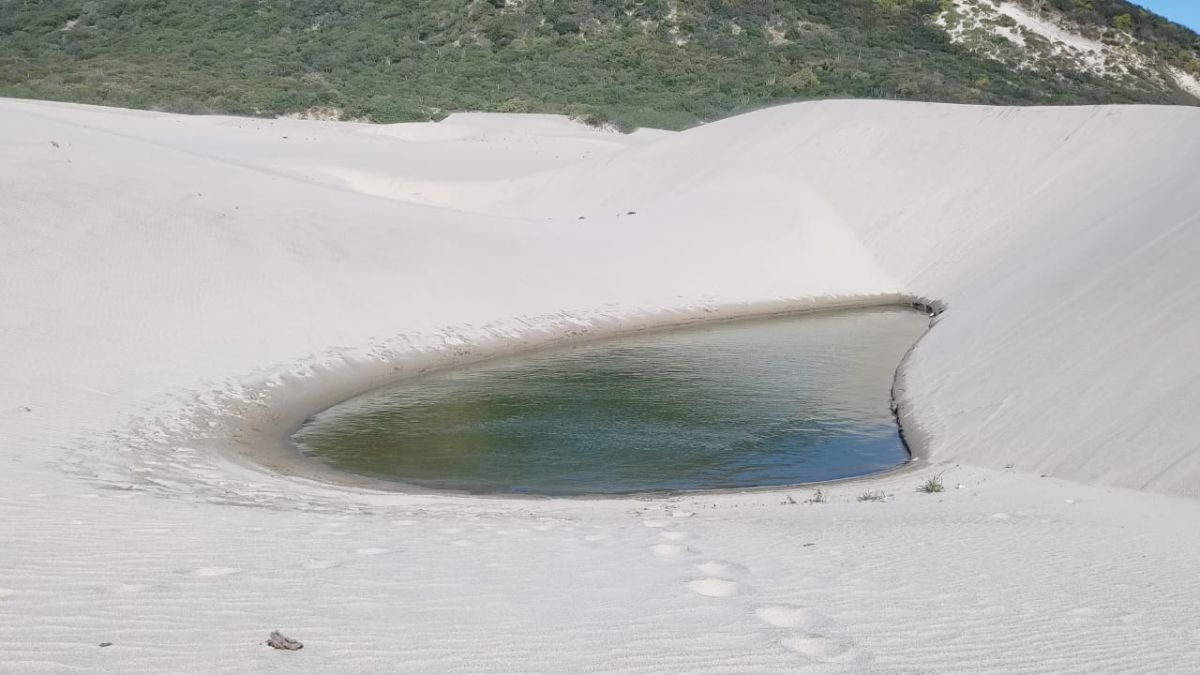 Dunas de Chipehua: el oasis con agua cristalina y arena suave más espectacular de Oaxaca