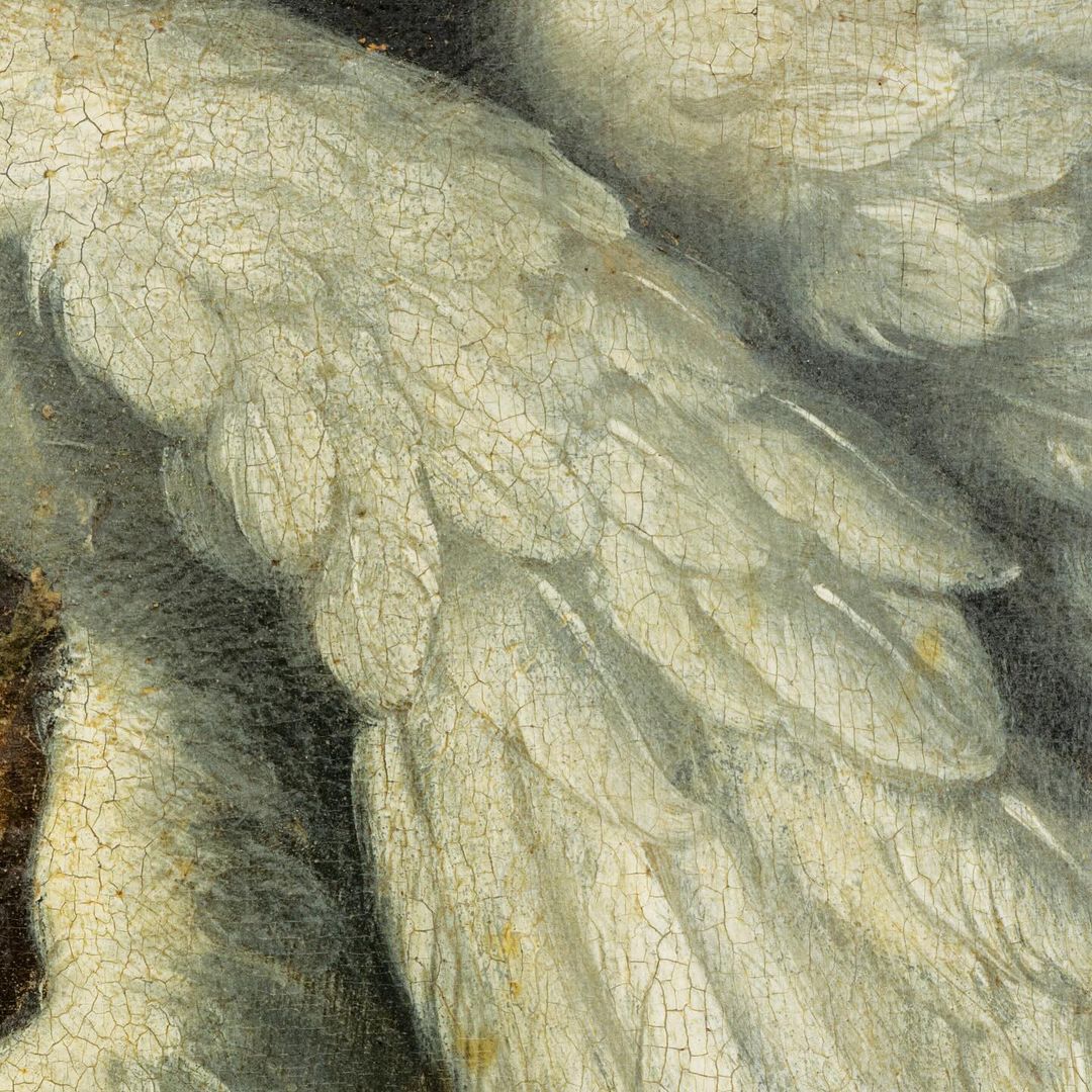 exhibiciones de arte 