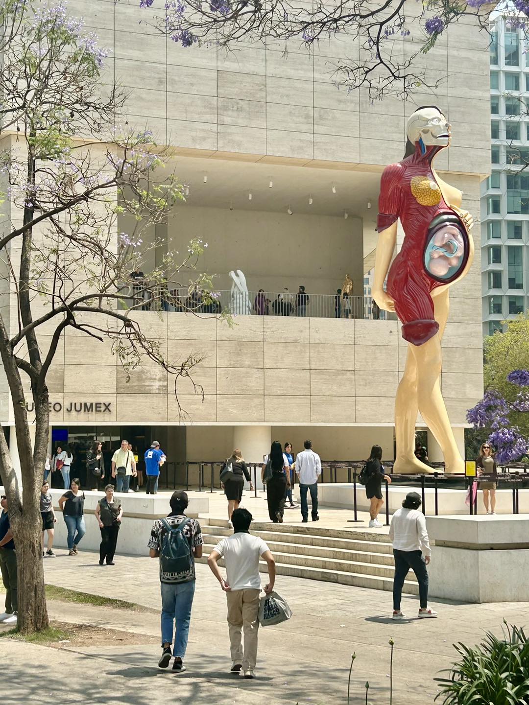 expo Museo Jumex
