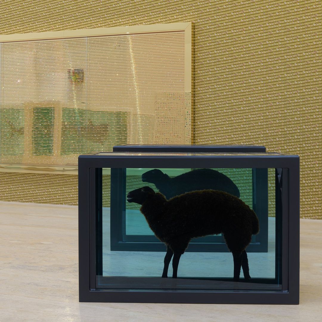 arte contemporáneo cdmx