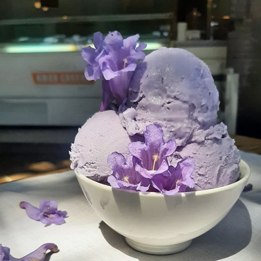 ¿Te estás derritiendo de calor? 6 de los helados de flores más ricos en la CDMX para refrescarte un poco