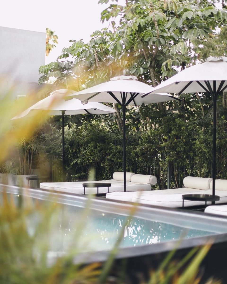 Alberca en la terraza de Casa Habita