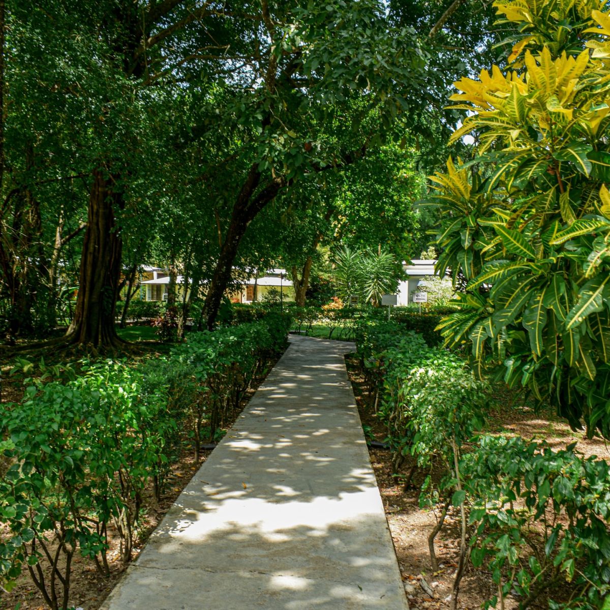 Hotel Nututun Palenque