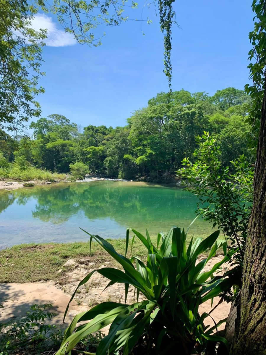 Hotel Nututun Palenque